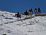 Monte Gugliemo dal sentiero nel Bosco degli Gnomi il 23 dicembre 2014   - FOTOGALLERY